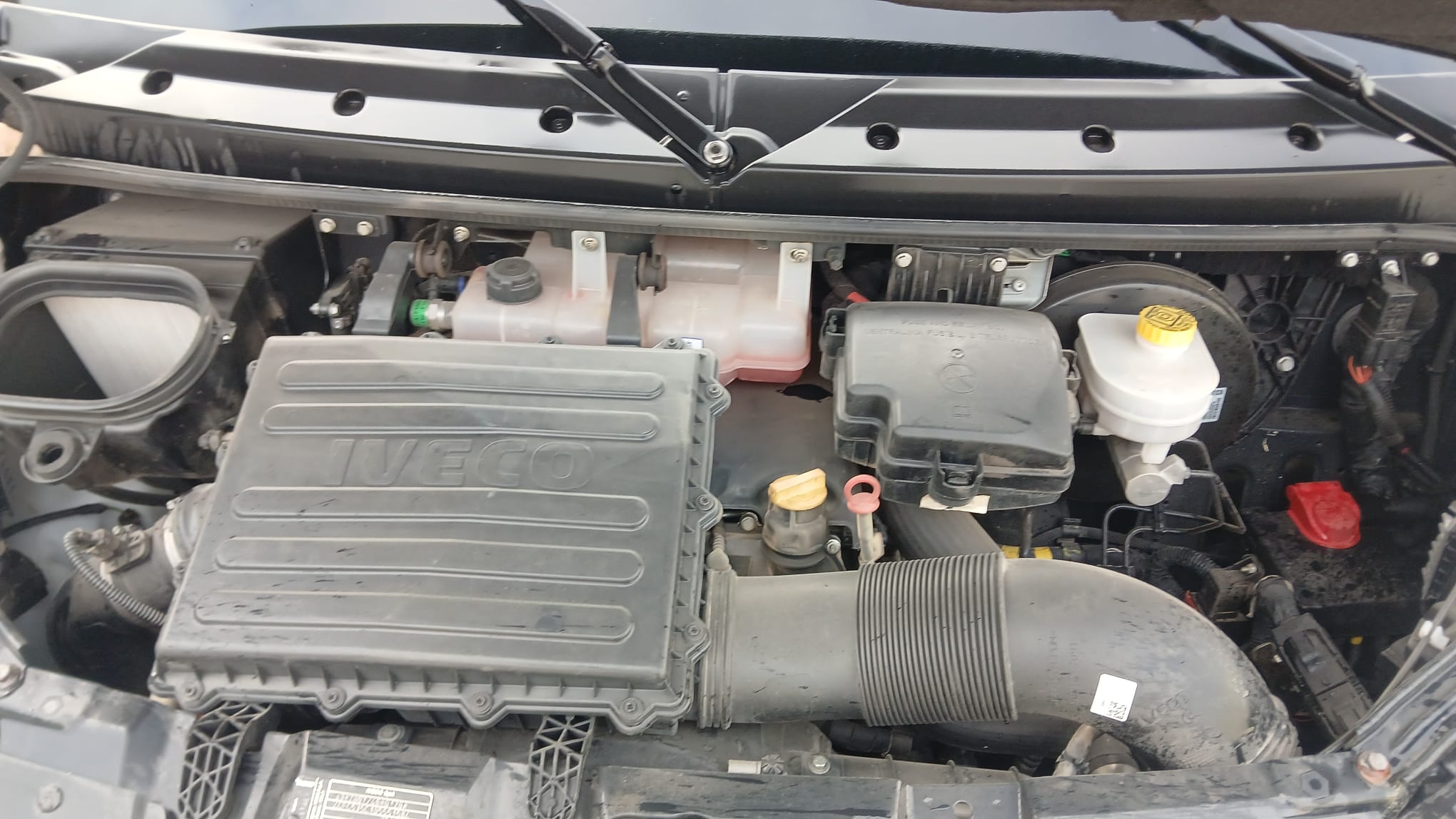 IVECO DAILY FRIGORIFICA 180CV 2023 - Imagen 10